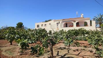 Terrein van de accommodatie