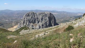 Esterni