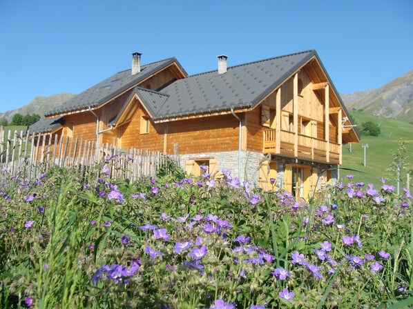 Exteriör