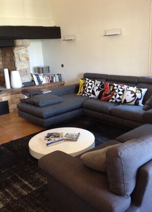 TV connectée, cheminée, lecteur de DVD, table de tennis de table