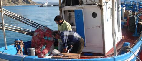 A boat with two people handling a fish, a net, and a wooden crate.