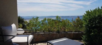 庭園とスイミングプール、ゴール デンアイランドの素晴らしい景色と大きな立っているヴィラ