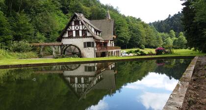 A holiday in the Petite Pierre in the middle of the forest