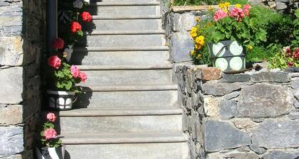 10-person gîte in an excellent location ("3 Vallées" ski area and Vanoise National Park)