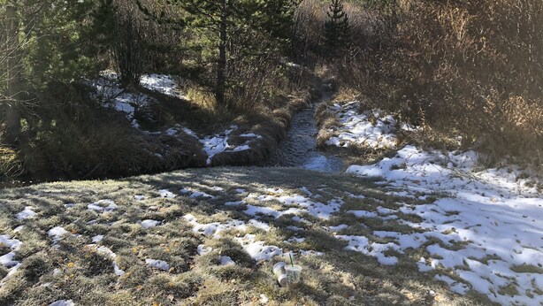 A natural landscape with a stream, snow patches, and dense forest. - Updated MountainSide Condo in The Heart of Frisco! (frisco)