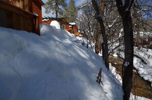 Cozy cabin nestled among trees and a serene stream, offering a peaceful retreat.