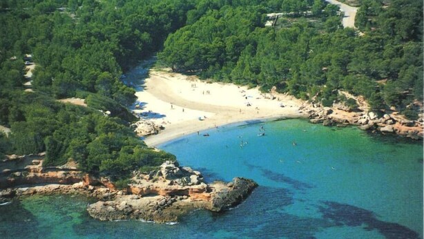 An aerial view of a coastal area with a sandy beach, clear blue waters, and dense green forests. - Villa with private protected pool, 200 m from the beach, air conditioning  (Ametlla de Mar)