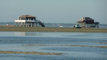 Plage, chaises longues
