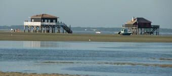 Nel cuore del Bassin d'Arcachon, al confine con i prati salati, il sentiero costiero.