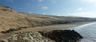 In the heart of the Bassin d'Arcachon, on the edge of the salt marshes and the coastal path.