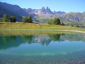 Uklassifisert bilde, 5 av 64, knapp