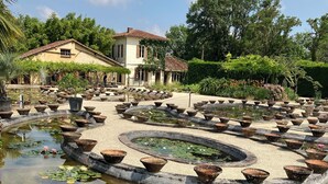 A garden with a circular pond surrounded by terracotta pots and blooming water lilies.
