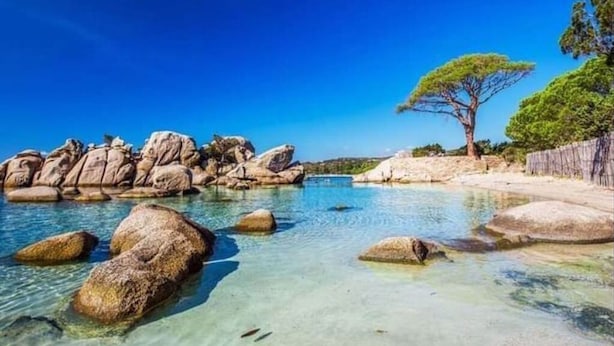 Cuerpo de agua transparente y poco profundo, con rocas grandes y un árbol a la derecha.