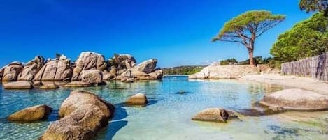 在海滩、沙滩毛巾