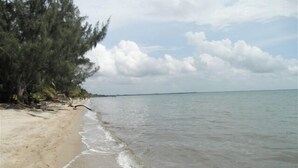 A beach with clear water, a sandy shore, and a line of trees. - Baby Blue Cabana (Hopkins Village)