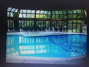 A swimming pool with a view of trees through large windows. - CAMELBEACH,FREE 3d NIGHT,Indoor Pool, Hot Tub,Deck w Grill,Room for 3 families (Tannersville)
