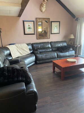 Televisor intel·ligent, llar de foc i reproductor de DVD 