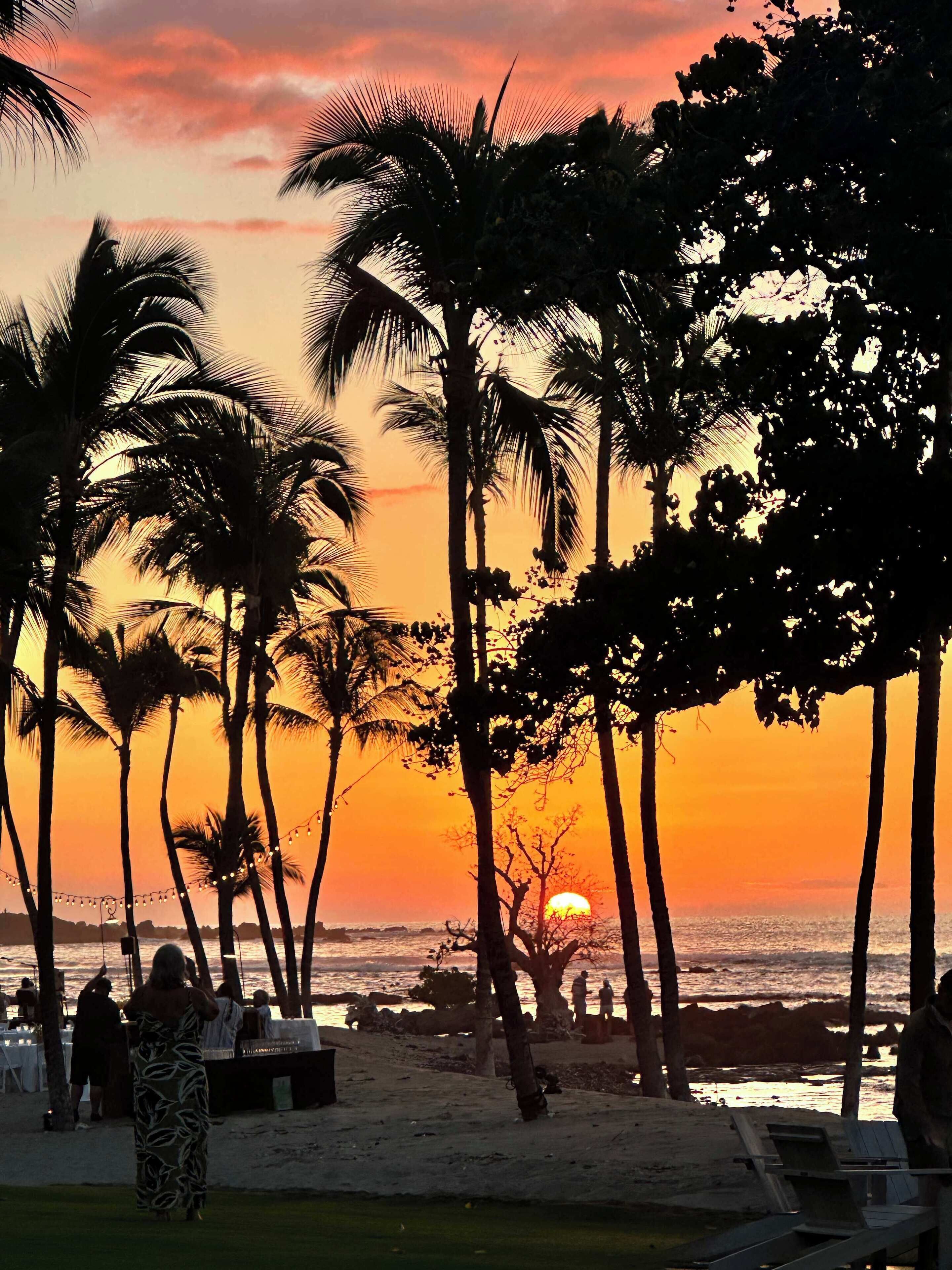 A beach scene with palm trees and a sunset.