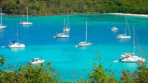 Una marina con diverse barche a vela ancorate in acque turchesi cristalline, circondata da una vegetazione rigogliosa e una spiaggia sabbiosa.