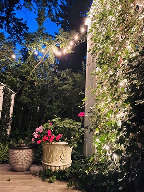 A garden area with potted plants and string lights.