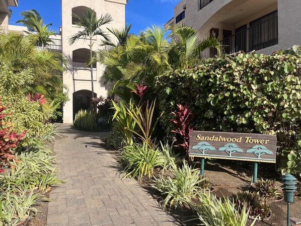 A pathway lined with various plants and a sign reading "Sandalwood Tower". - The Shores, quiet, upgraded condo, large lanai w/ garden area and lawn (Waikoloa)