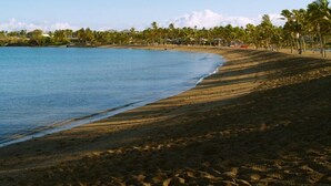 A beach with a clear view of the ocean, palm trees, and a few buildings in the background. -  The Shores, quiet, upgraded condo, large lanai w/ garden area and lawn  (Waikoloa)