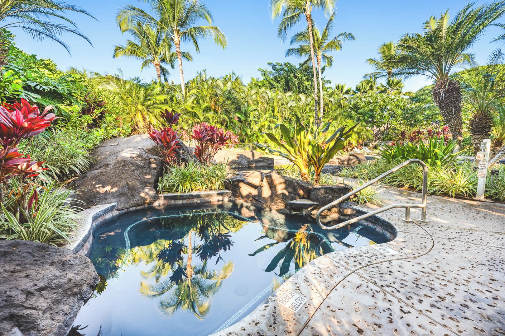 A swimming pool with a stone edge, surrounded by tropical plants and palm trees.