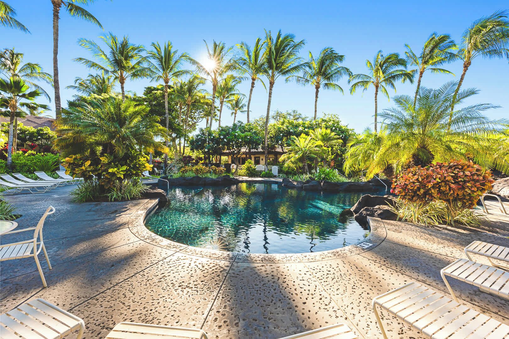Een zwembadgedeelte met ligbedden en palmbomen.