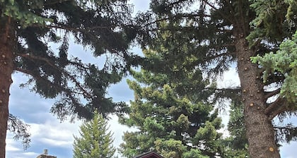 Hirsimökki moderneilla mukavuuksilla, kävelymatkan päässä kaupungista.