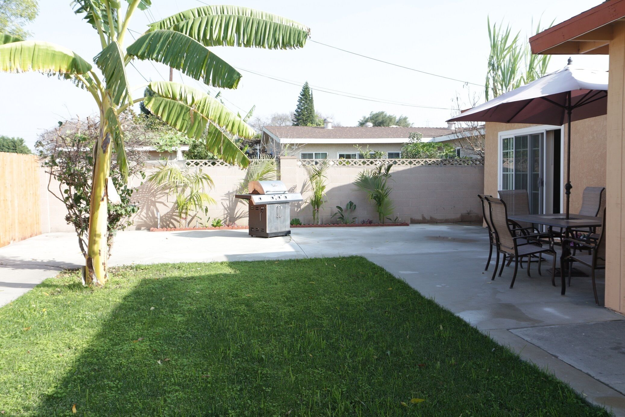 A backyard with a grill, patio furniture, and a small palm tree.