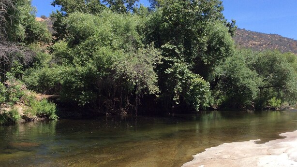 A river with clear water, surrounded by dense green trees and a rocky hillside in the background.