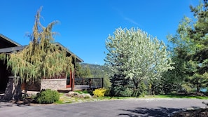 Ein Haus mit einer Steinaußenwand, einer Veranda und einem großen Baum mit weißen Blüten.