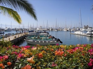 Marina