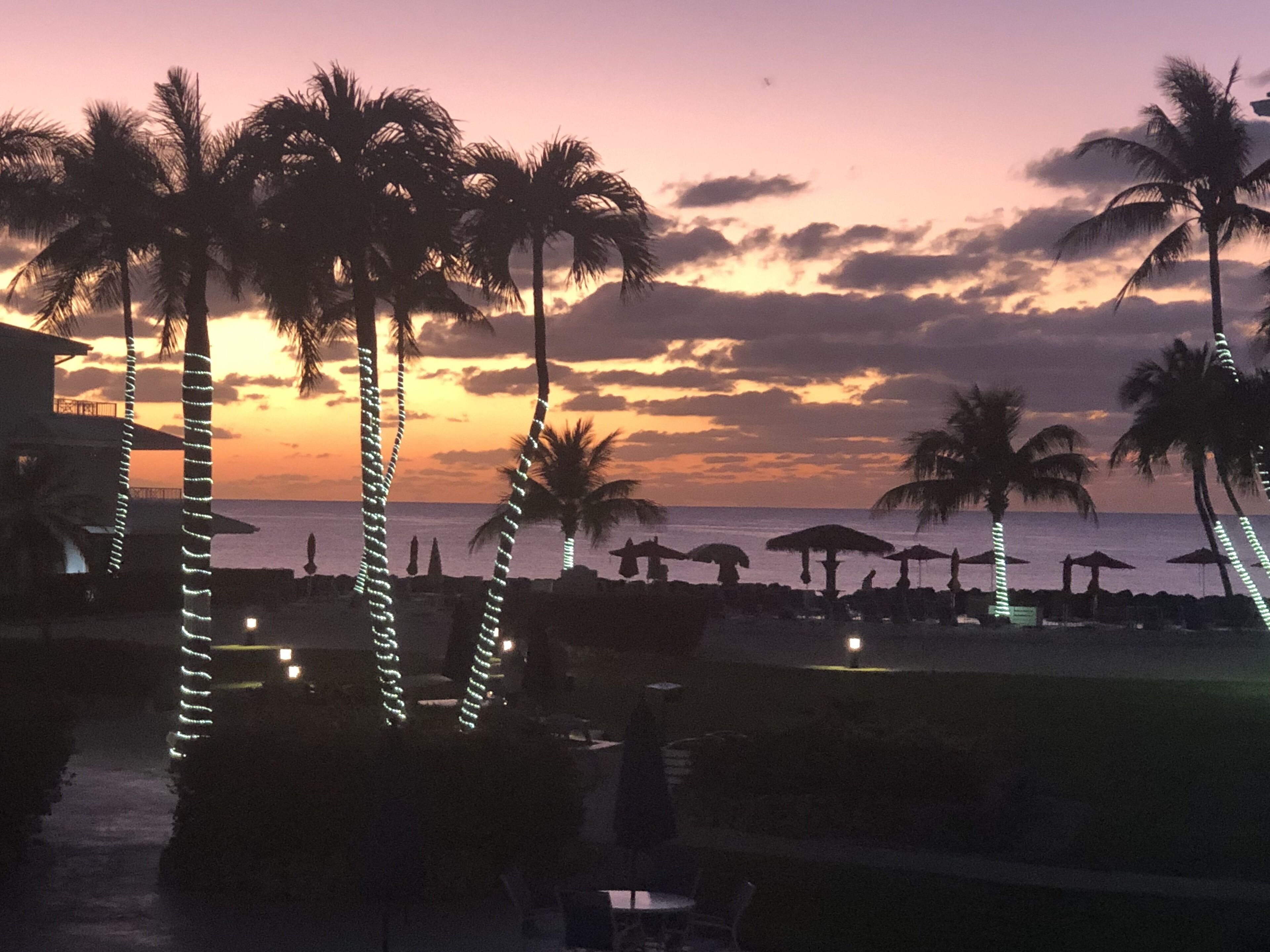 A beach resort with palm trees, umbrellas, and a sunset view.