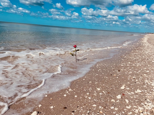 Playa en los alrededores