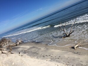 On the beach
