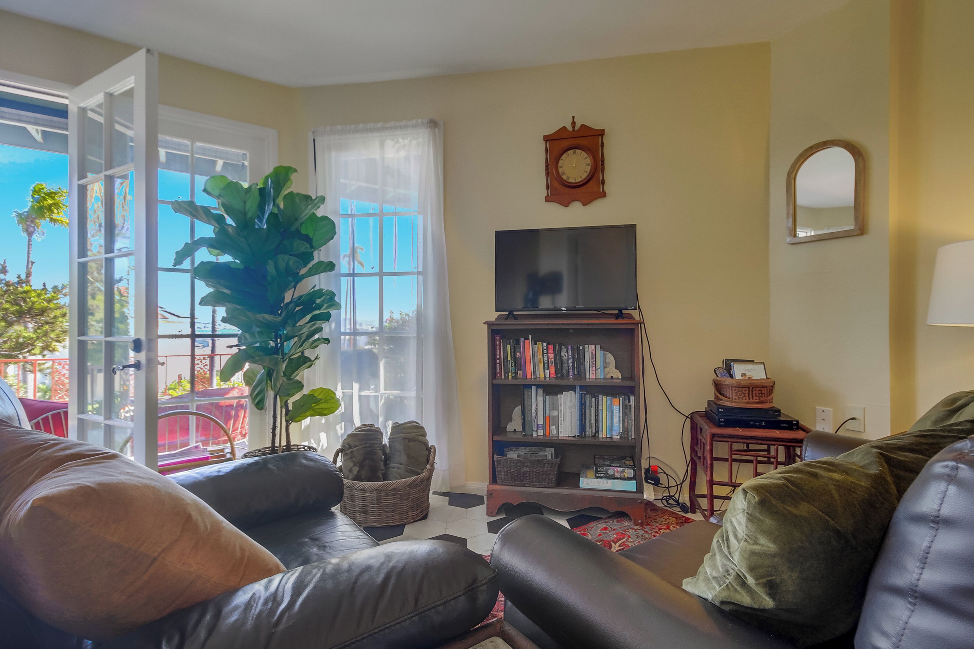 Smart TV, fireplace, DVD player, books