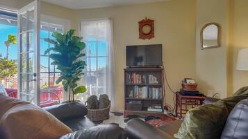 Smart TV, fireplace, DVD player, books