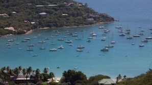 A coastal area with numerous boats anchored in the water, surrounded by lush greenery and a few buildings on the hillside. - Tropical Orchid-Just For Two-WINTER STORM SALE- Hot Tub (Cruz Bay)