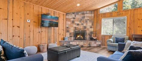 Fernseher, Kamin, Videospiele, DVD-Player