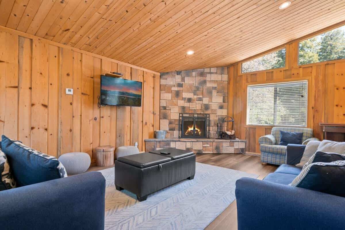 TV, fireplace, video games, DVD player