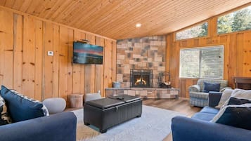 TV, fireplace, video games, DVD player