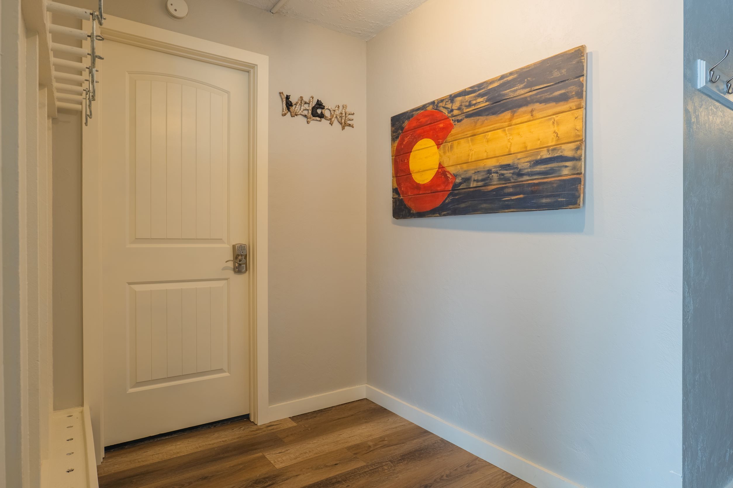 A hallway with a white door, a wooden floor, and a wall-mounted artwork.