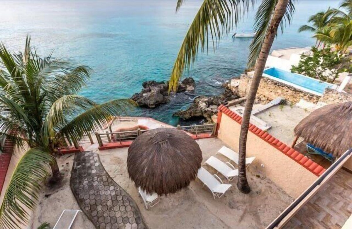 オーナーのプロフィール画像