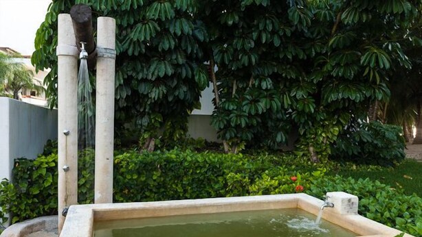 Une fontaine rectangulaire en pierre, avec un petit bassin, entourée d’une végétation luxuriante et d’un grand arbre.