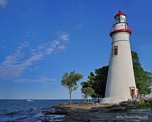 A lighthouse with a red top, situated on a rocky shore with trees nearby.