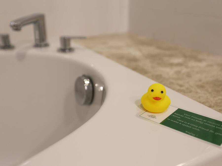 A bathroom sink with a rubber duck and a green sign.