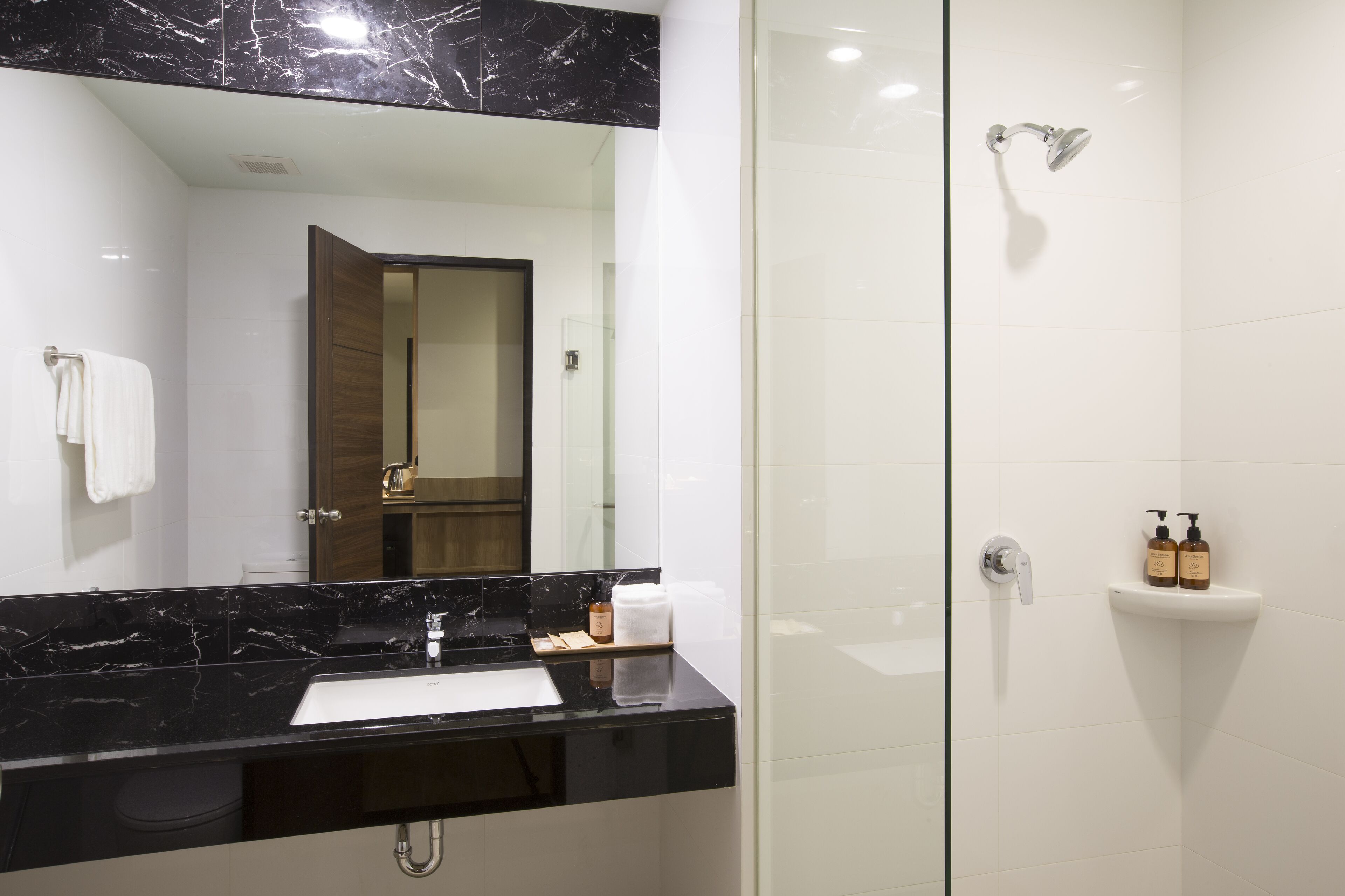 A modern bathroom with a black marble countertop, a glass shower enclosure, and a white sink.