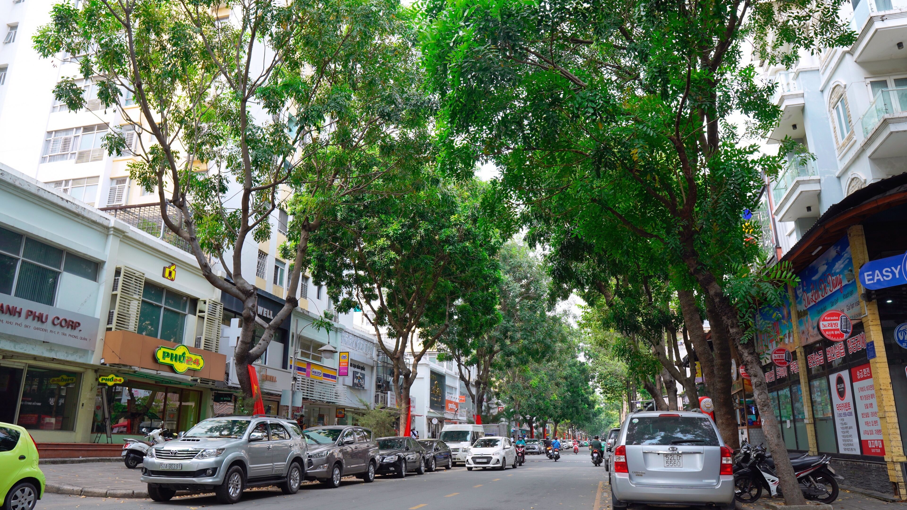 A street lined with trees and various shops, including a visible restaurant and a pharmacy.