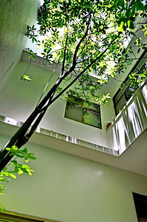 View from property - Flowerinn (Magong)